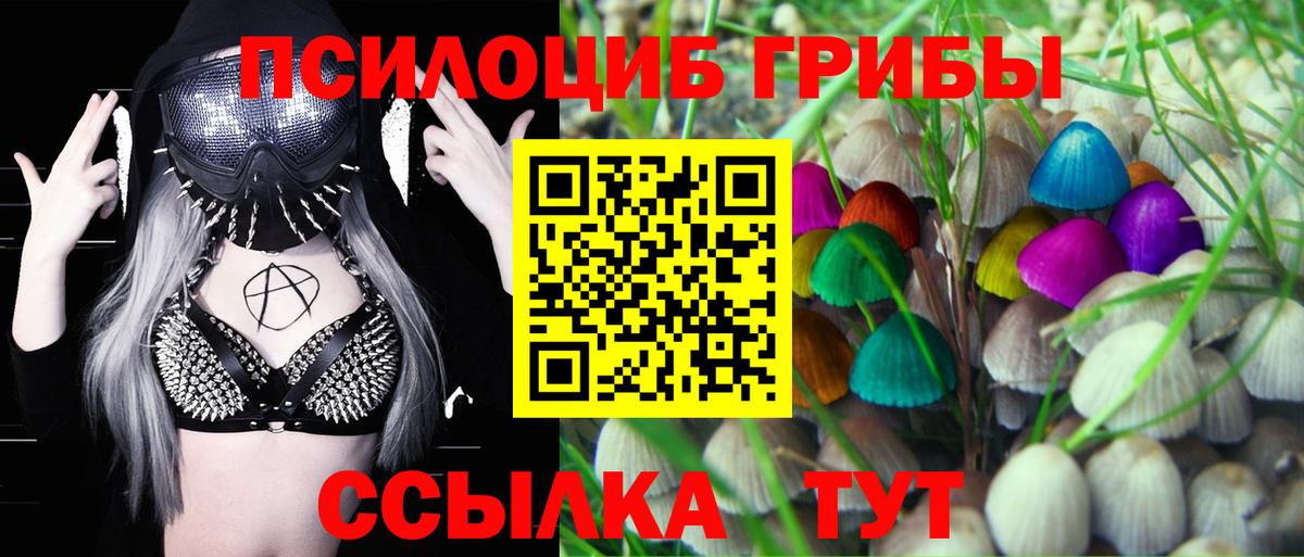 Псилоцибиновые грибы Magic Shrooms Лосино-Петровский