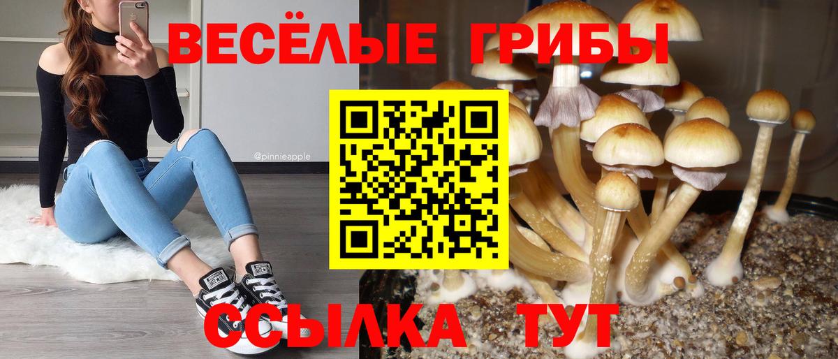 Лосино-Петровский  Псилоцибиновые грибы прущие грибы  Псилоцибиновые грибы мицелий  Вход с VPN 